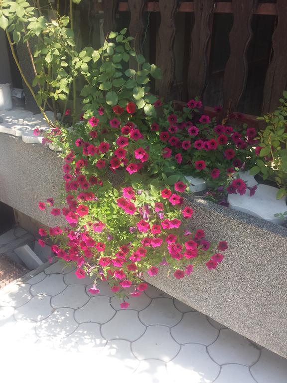 Apartment A&D Pančevo Dış mekan fotoğraf