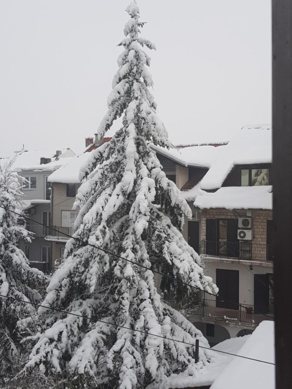 Apartment A&D Pančevo Dış mekan fotoğraf